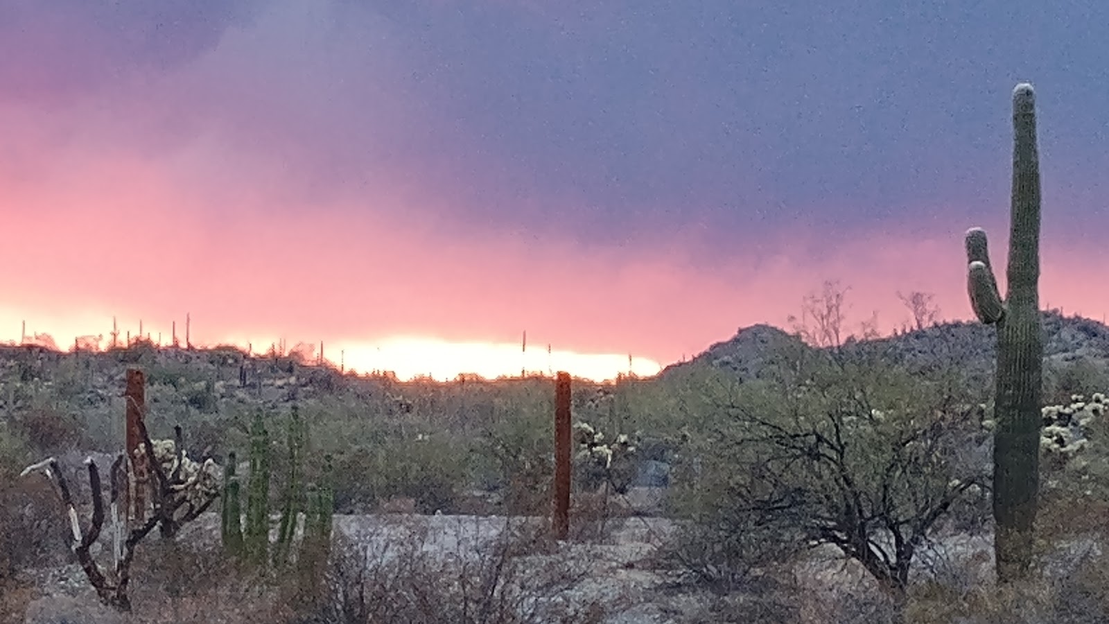 Stargazing near Ajo, Arizona