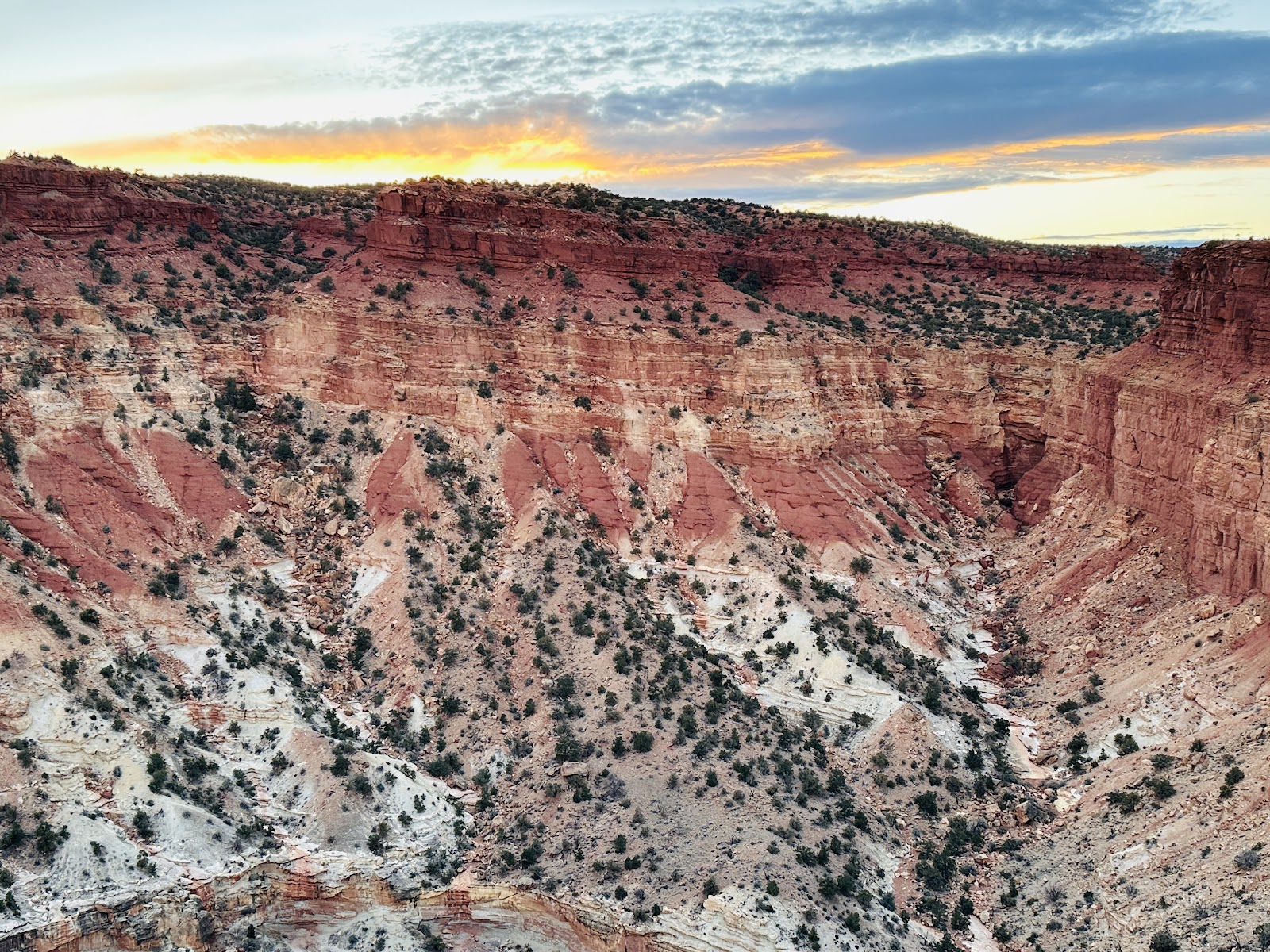 Goosenecks Overlook near Capitol Reef National Park, Utah, USA