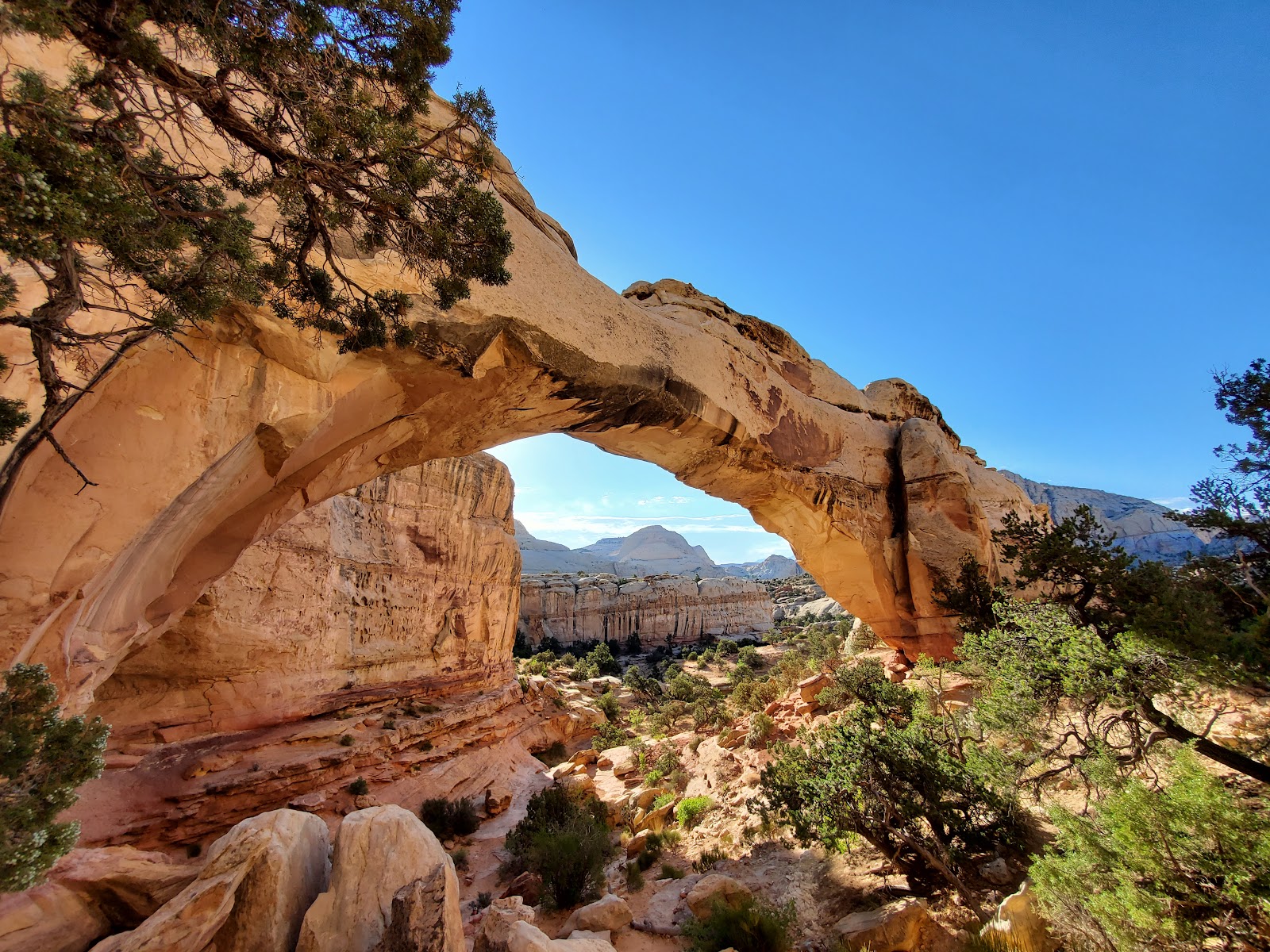 A travel view of Capitol Reef National Park, Utah, USA