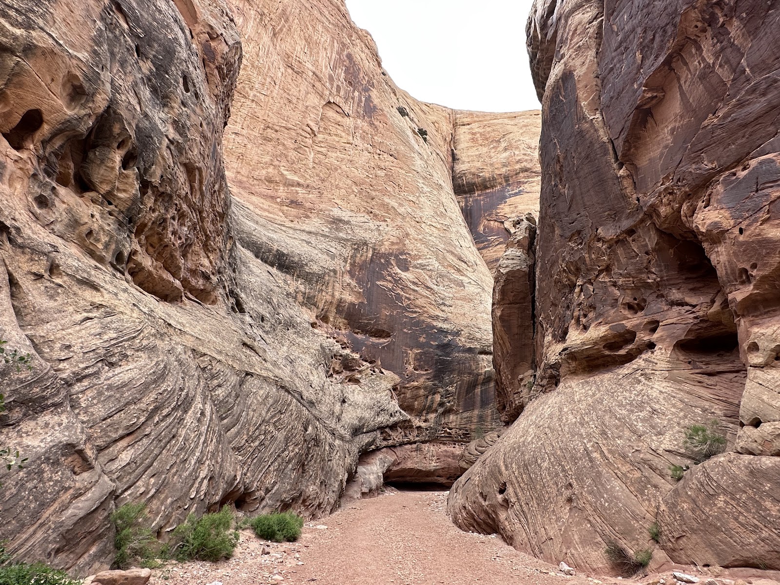 Grand Wash near Capitol Reef National Park, Utah, USA