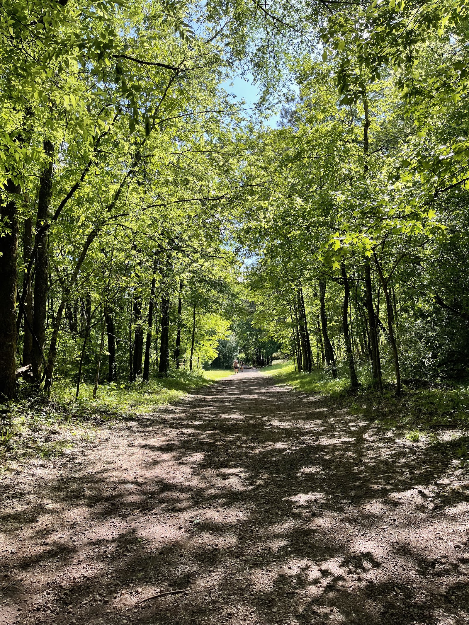 Red Mountain Park near Birmingham, Alabama, USA