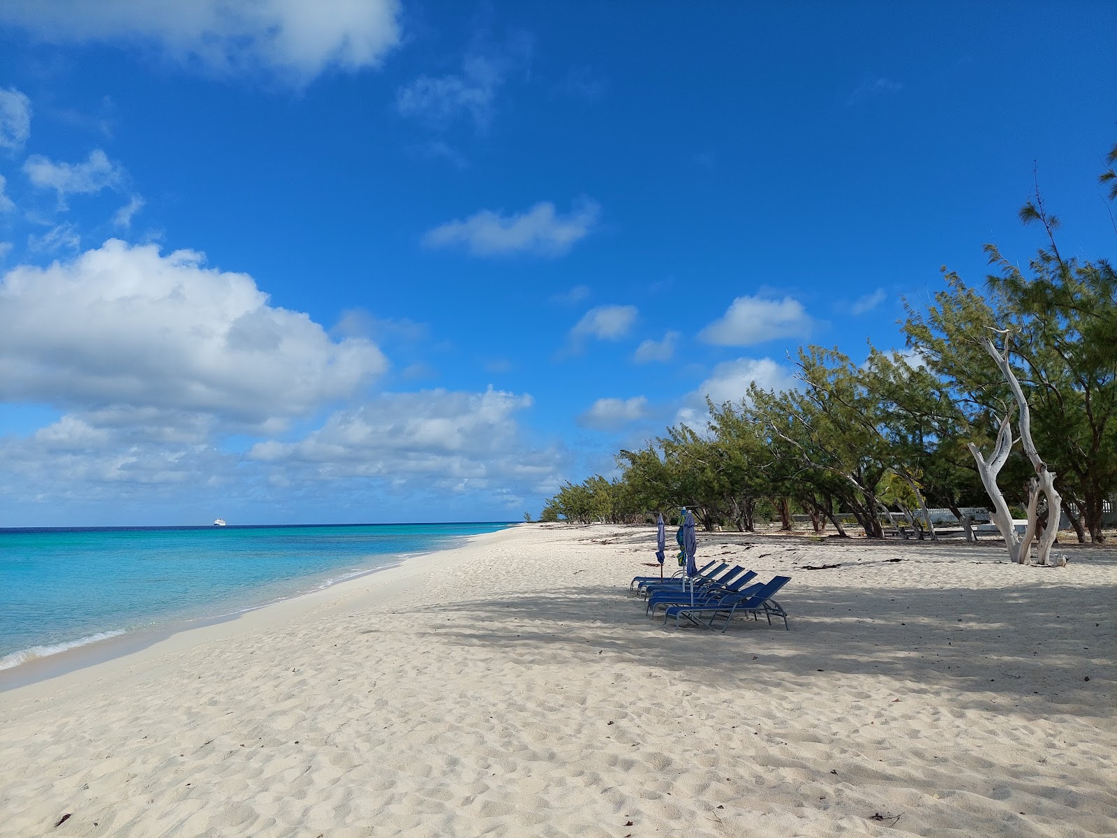Snorkeling and Diving in Grand Turk near Eastern Caribbean Cruise from Florida