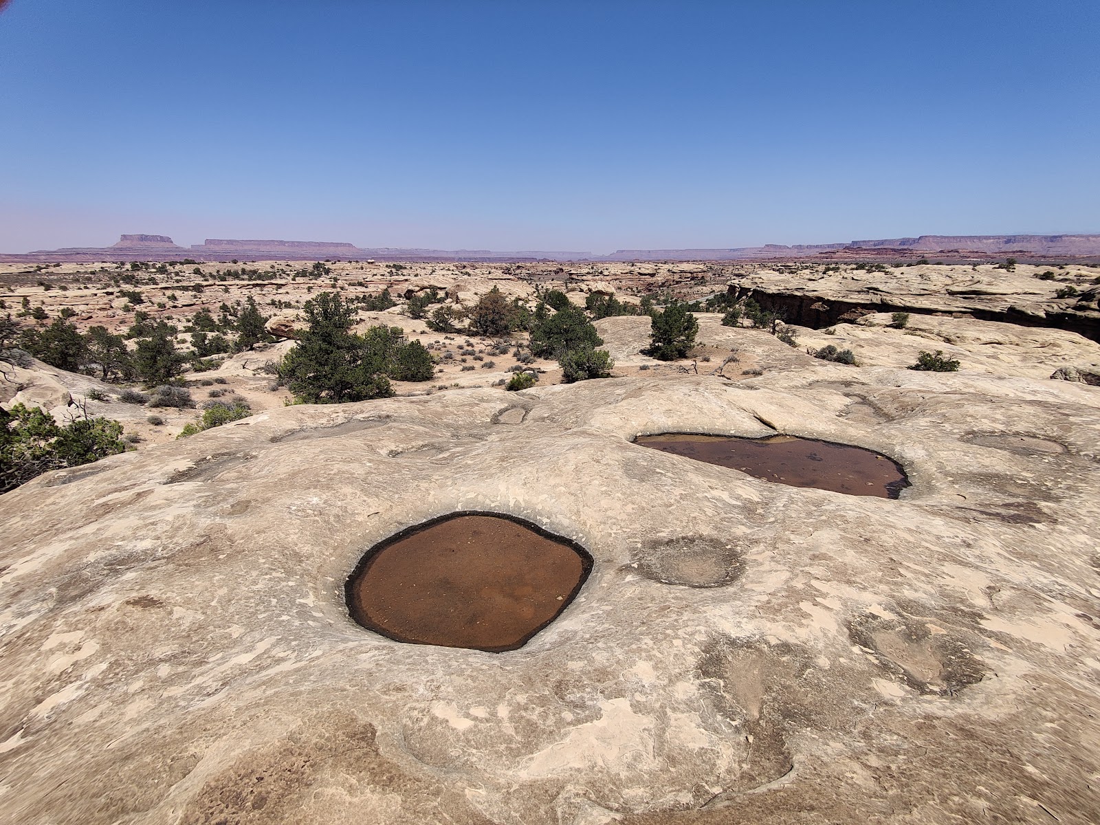 Pothole Point Trail near Canyonlands National Park (Needles District), Utah