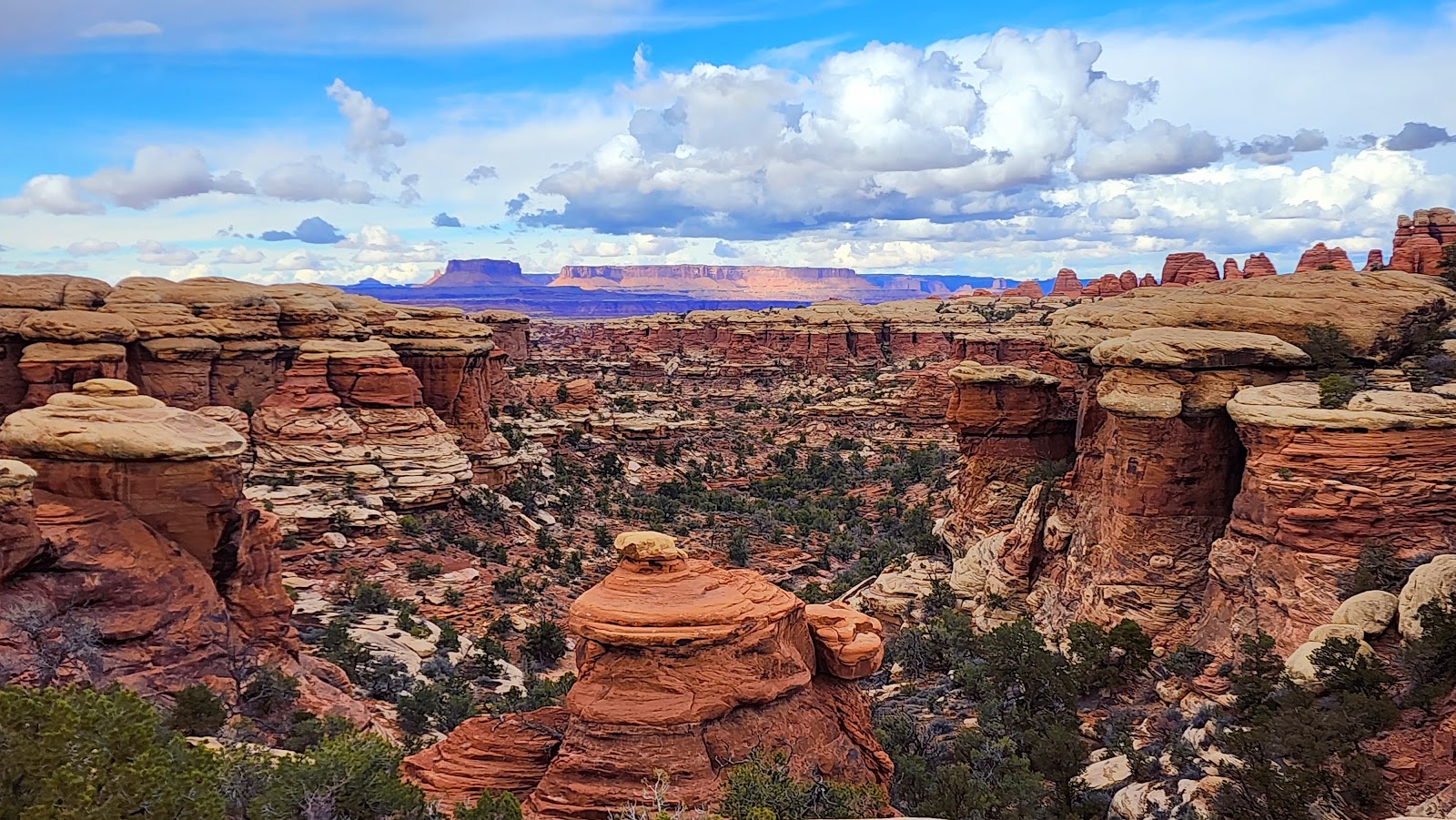 Getting there in Canyonlands National Park (Needles District), Utah
