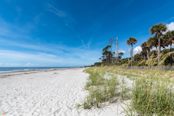 Hunting Island State Park