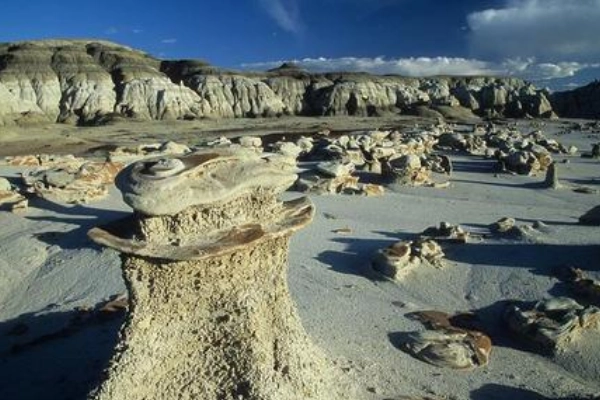 Petrified wood in Bisti Wilderness