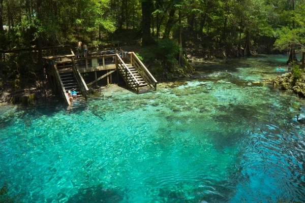 Blue Spring Itself