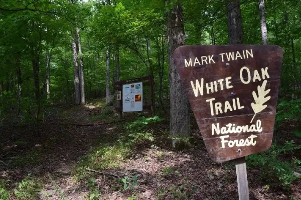 Spring Trail