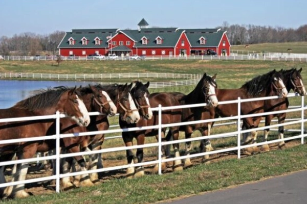 Warm Springs Ranch