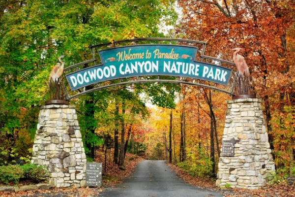 Dogwood Canyon Nature Park