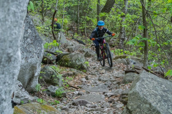 Pisgah National Forest