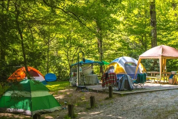 Camping in Brevard