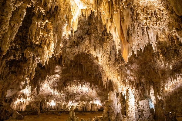 King's Palace Tour formations