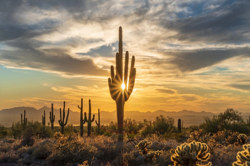Explore Chloride, Arizona