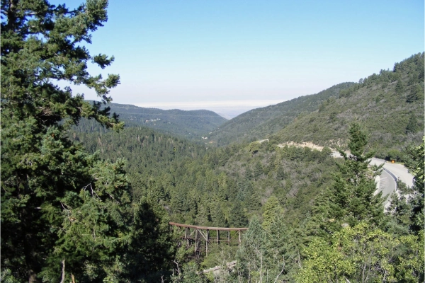 Osha Trail in Cloudcroft