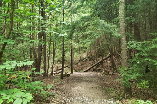 Daniel Boone Trail marker