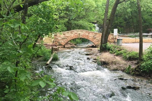 Dunning's Spring Park waterfall