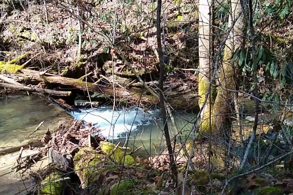 Trout Run Trail in Decorah