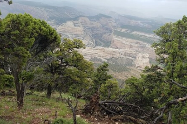 Harper's Corner Drive overlook
