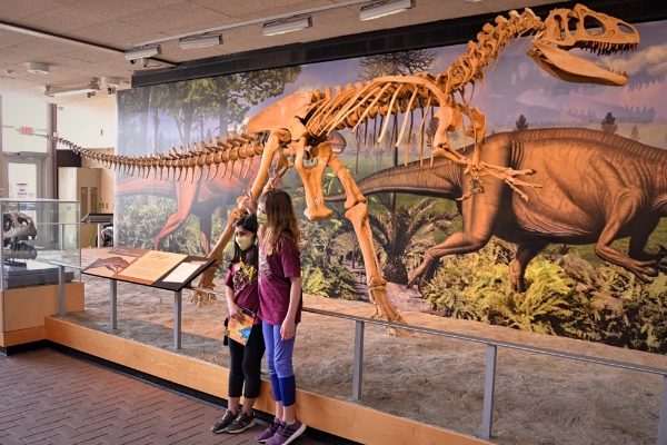 Quarry Exhibit Hall at Dinosaur National Monument
