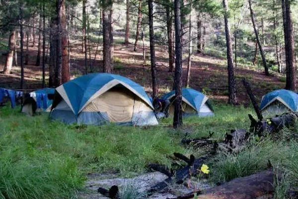 Camping at Lower Scorpion Campground Gila