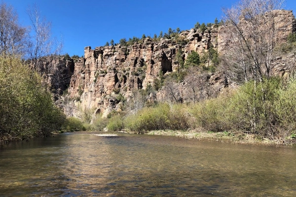 West Fork Gila River