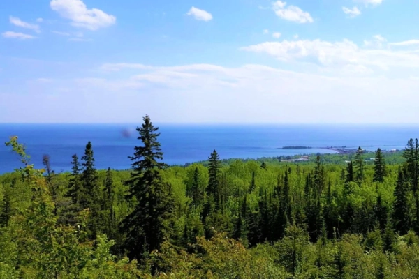 View from Pincushion Mountain