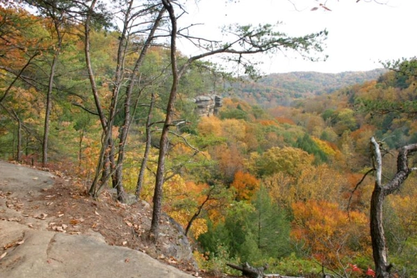 Conkle’s Hollow State Nature Preserve