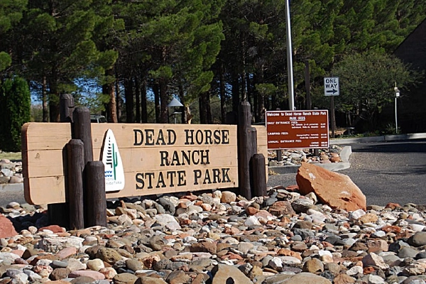 Camping at Dead Horse Ranch State Park