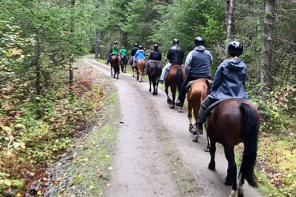 Horseback riding at Artemis Acres Guest Ranch