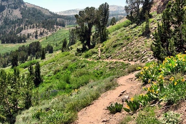 Mount Rose Wilderness hiking