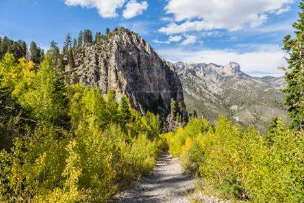Hiking Mary Jane Falls trail in Mount Charleston