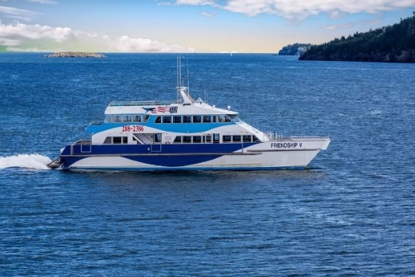 Whale watching with Bold Coast Charter Co., Lubec