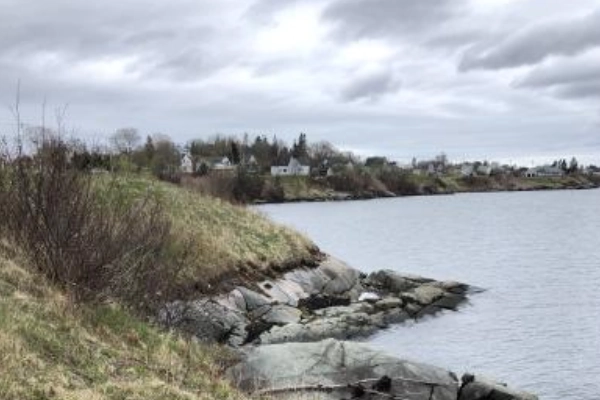 Lubec Breakwater walk and seal spotting
