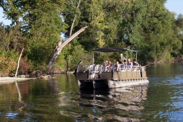 Wildlife tour at Horicon Marsh