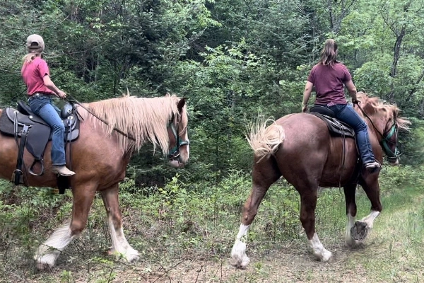 Horseback riding at Rock N River Stables