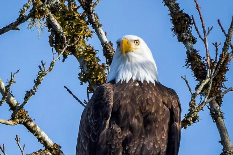 Explore Marblemount, Washington