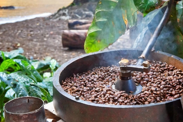 The Perfect Cup cafe, Matlacha