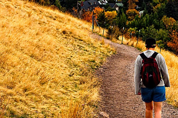 University of Montana Campus and 'M' Trail