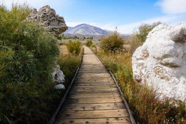 Mono Lake Boardwalk Trail