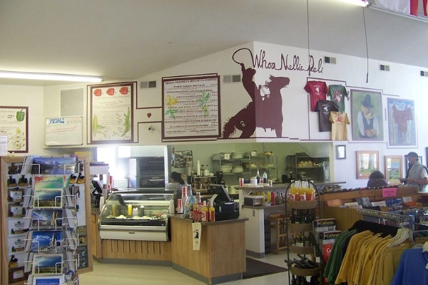 Whoa Nellie Deli at Tioga Gas Mart, Lee Vining