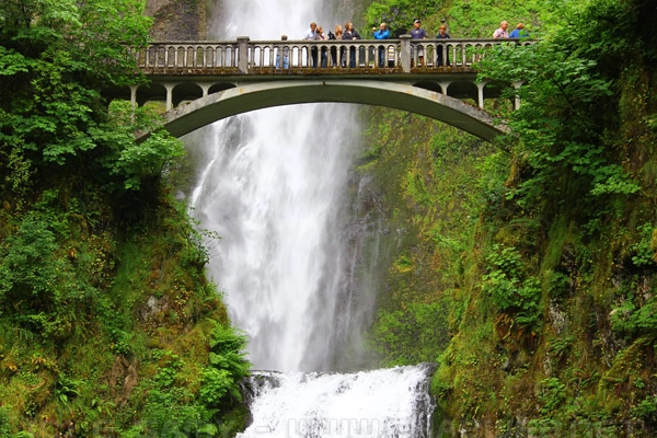 Columbia River Gorge National Scenic Area near Mount Hood