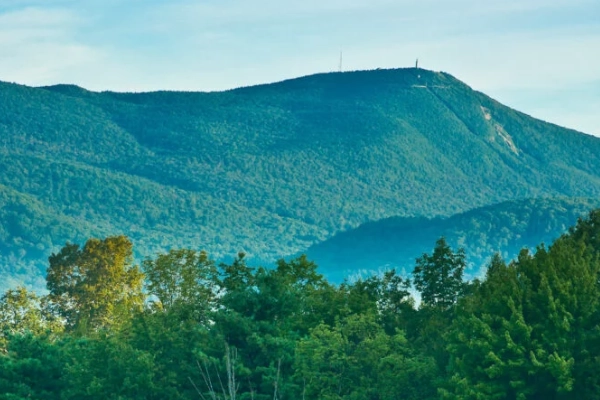 Mount Greylock State Reservation