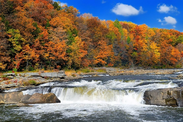 Ohiopyle Falls