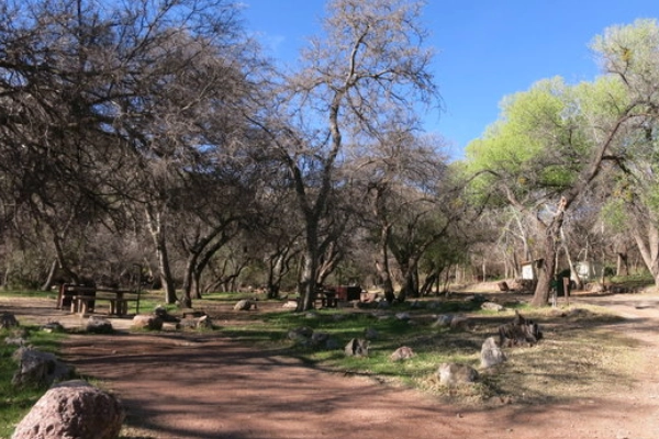 Camping at Oracle State Park