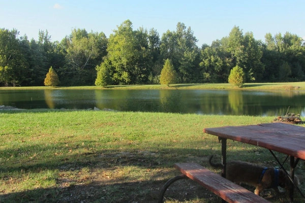 Fern Lake Campground near Paducah