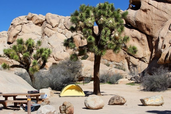 Camping in Joshua Tree National Park (nearby)