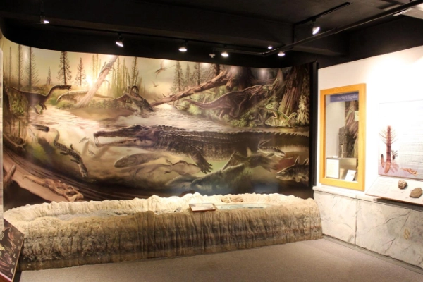 Rainbow Forest Museum, Petrified Forest