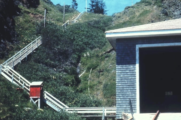 Port Orford Heads State Park whale watching