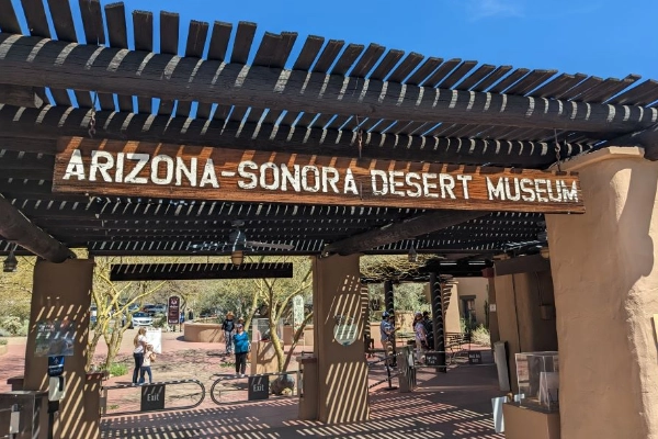 Arizona-Sonora Desert Museum near Saguaro West